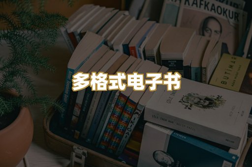 多格式电子书